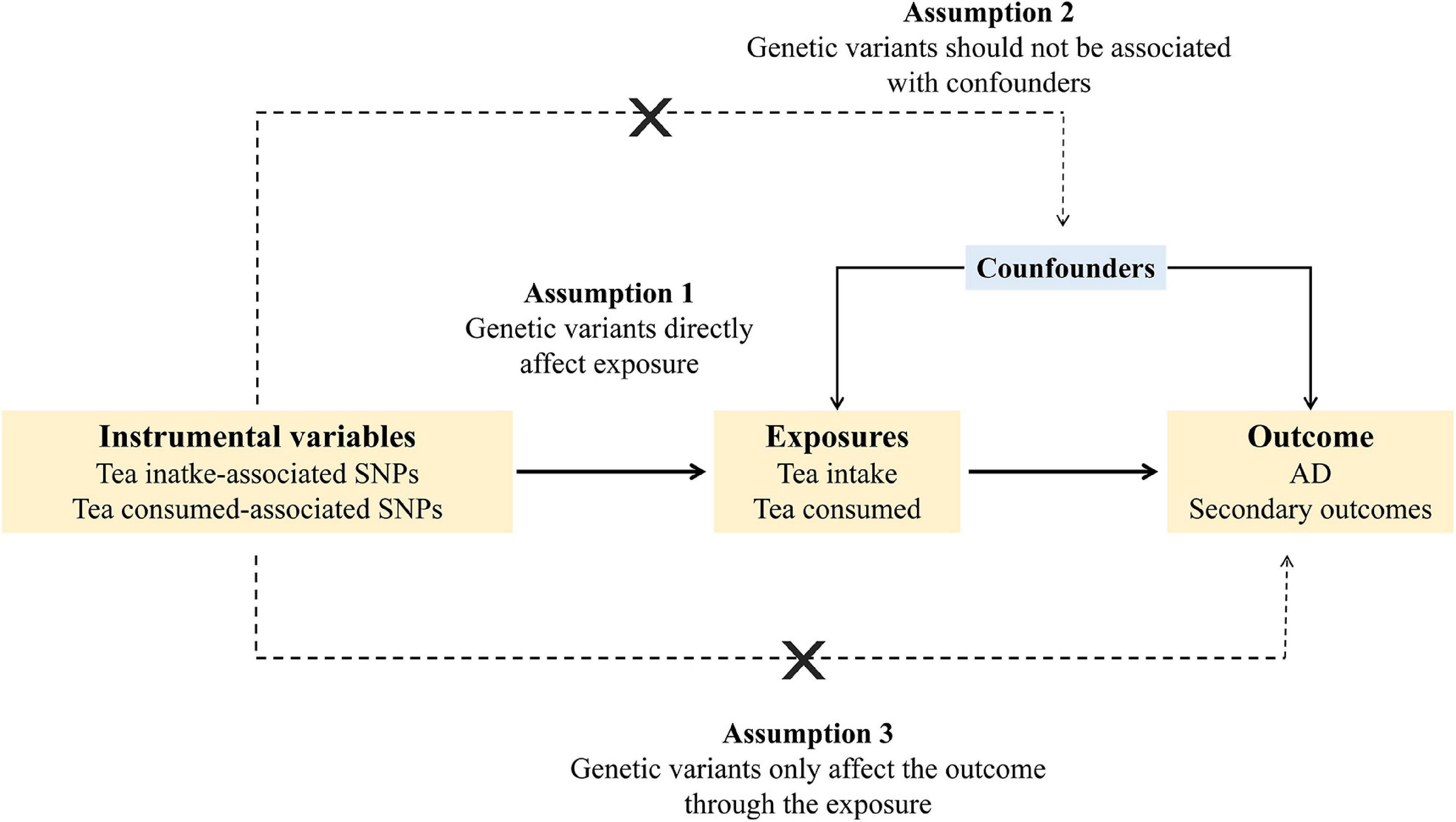 Extra cup of tea intake associated with increased risk of Alzheimer’s disease: Genetic insights from Mendelian randomization